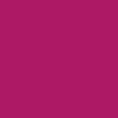 Lacus eget arcu dignissim interdum Lacus eget arcu dignissim interdum